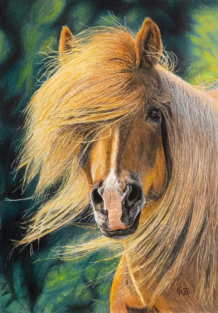 Tierportrait Zeichnungen - Farbstiftzeichnung vom Pferd -CreatEVE - Portraitzeichnungen vom Foto